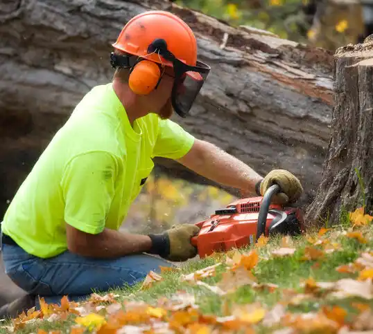 tree services Owings